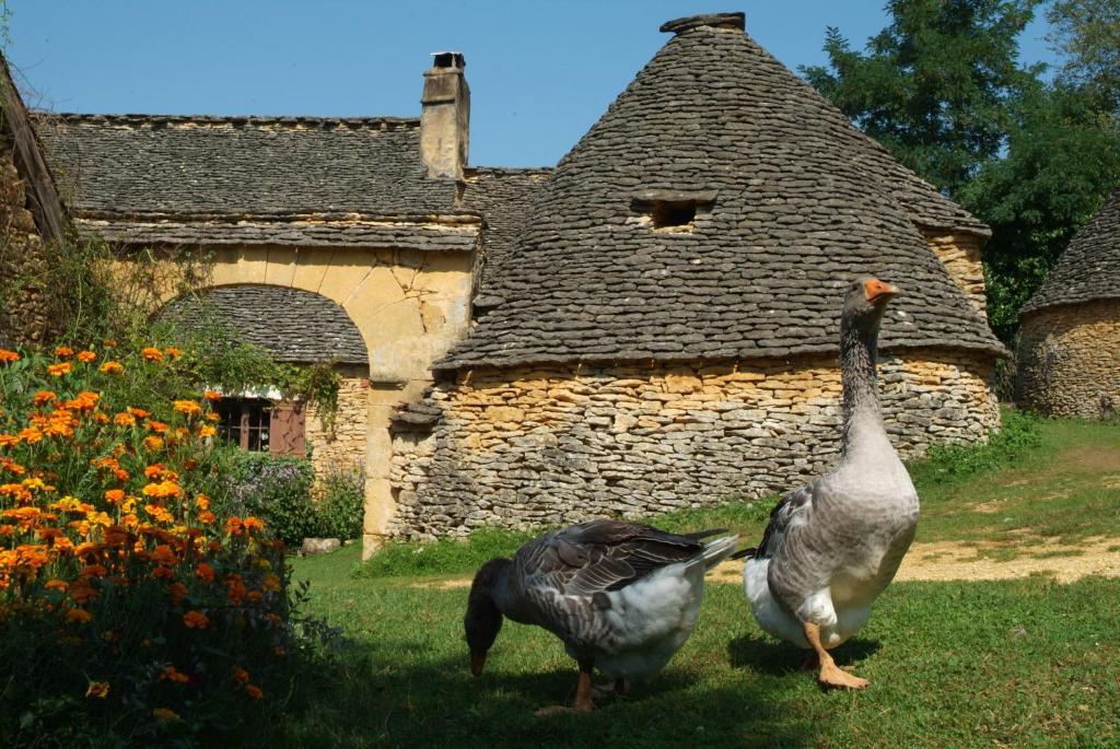 Madame Vacances - Residence Du Golf D'Armagnac Eauze Szoba fotó